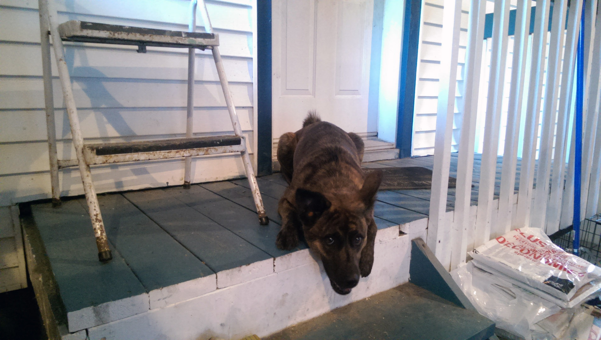mezzanine_Beryl_supervisor