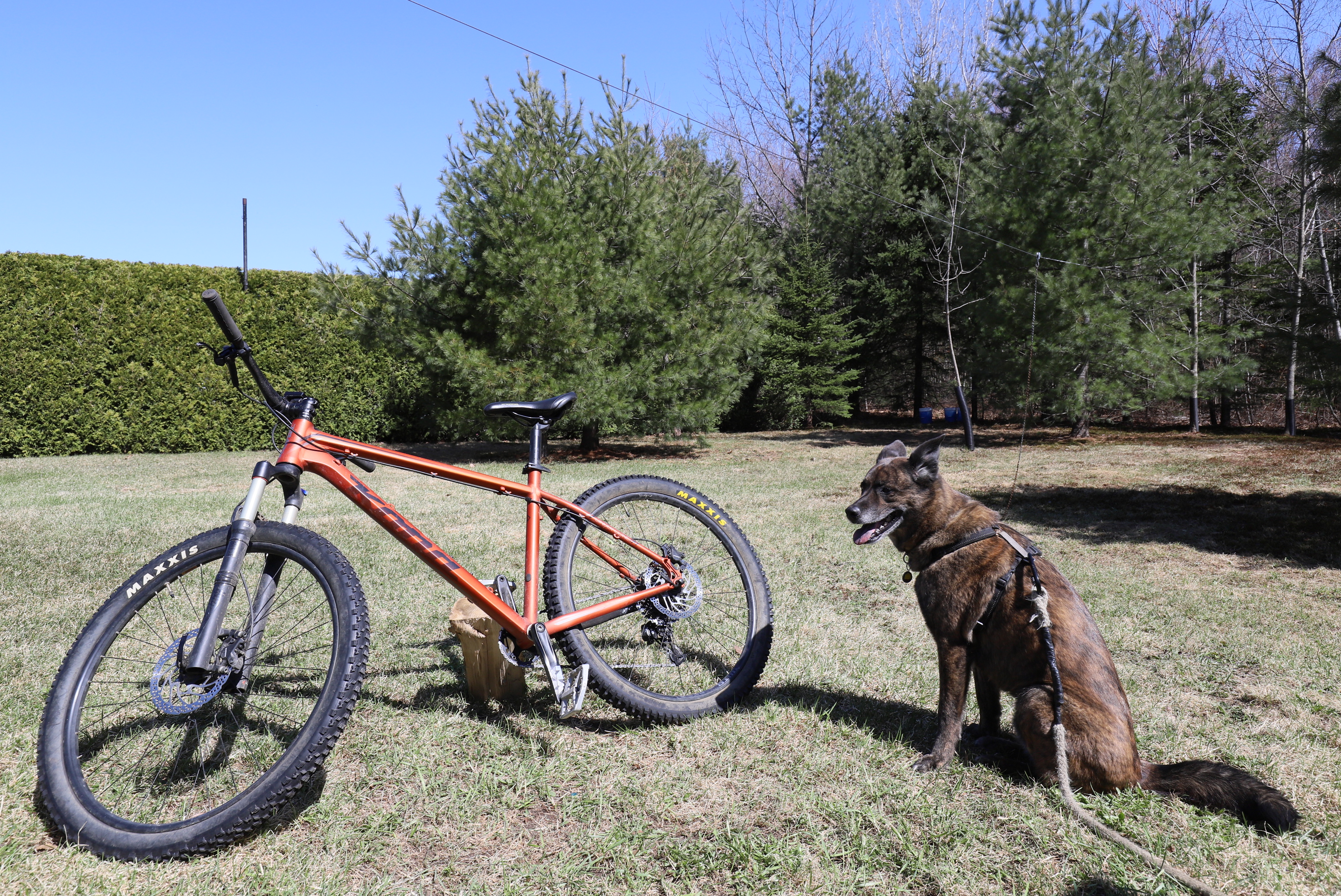 mtb_beryl