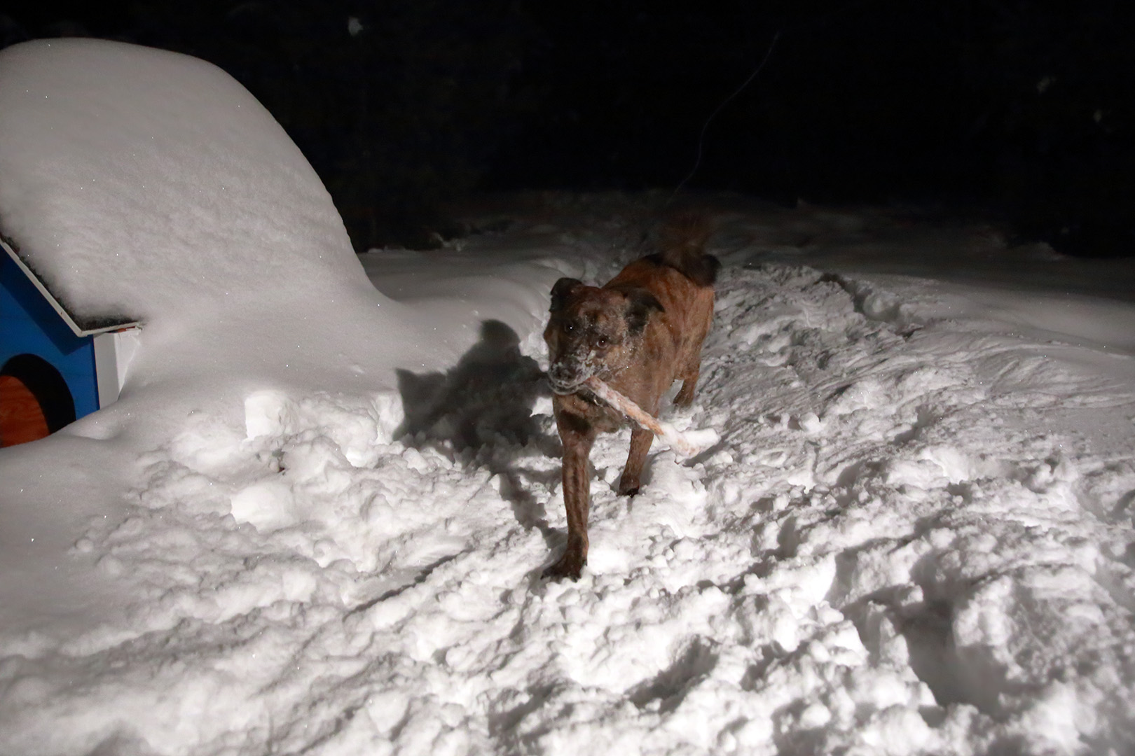 neige_beryl_baton