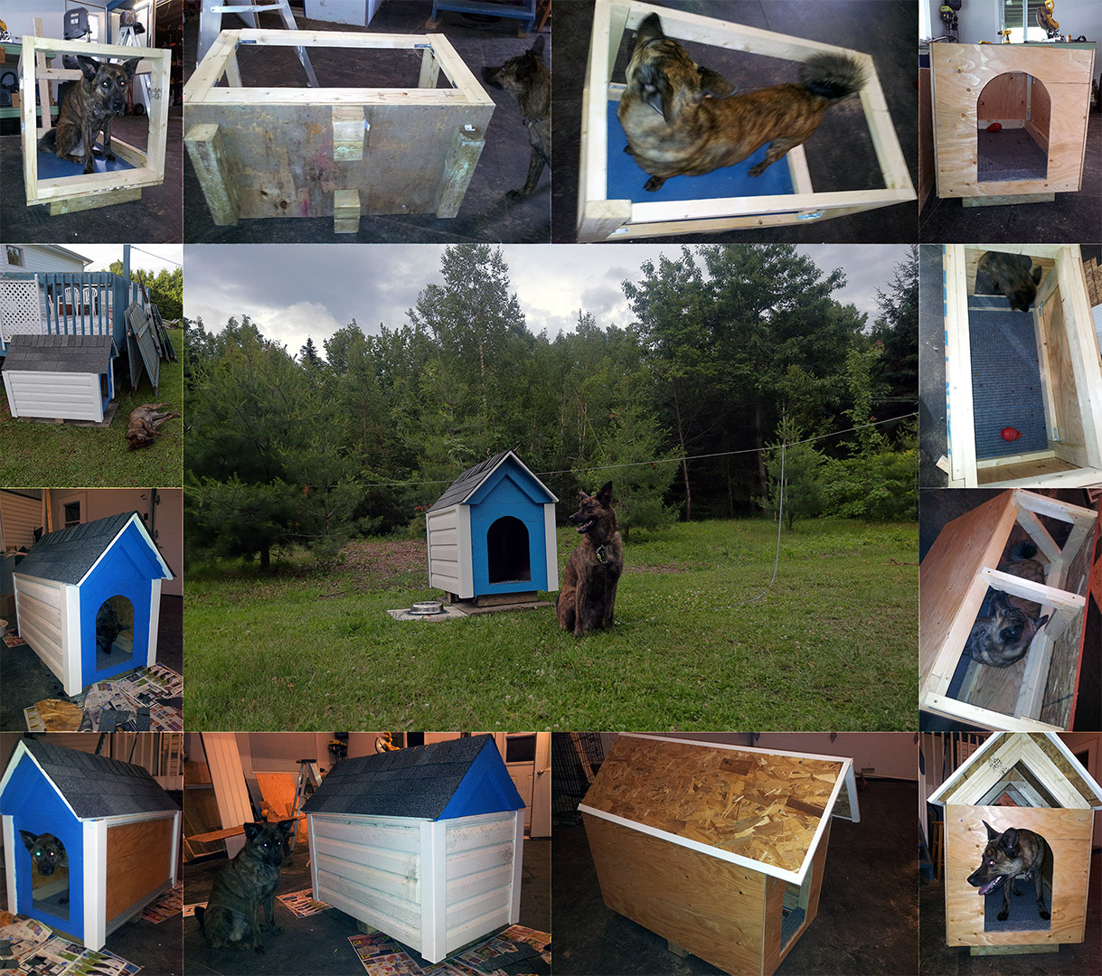 niche_makingof