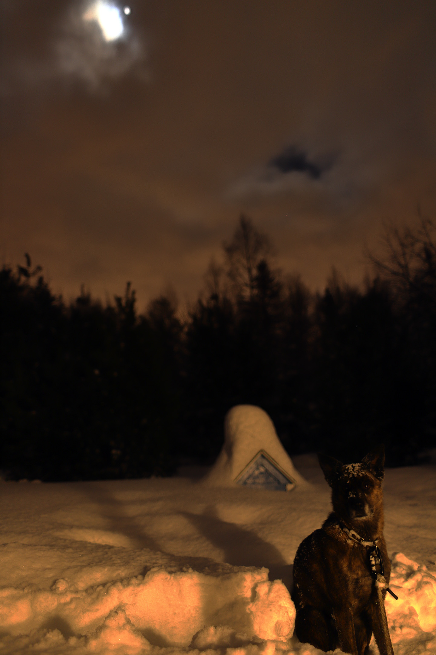 night_photo_beryl_1