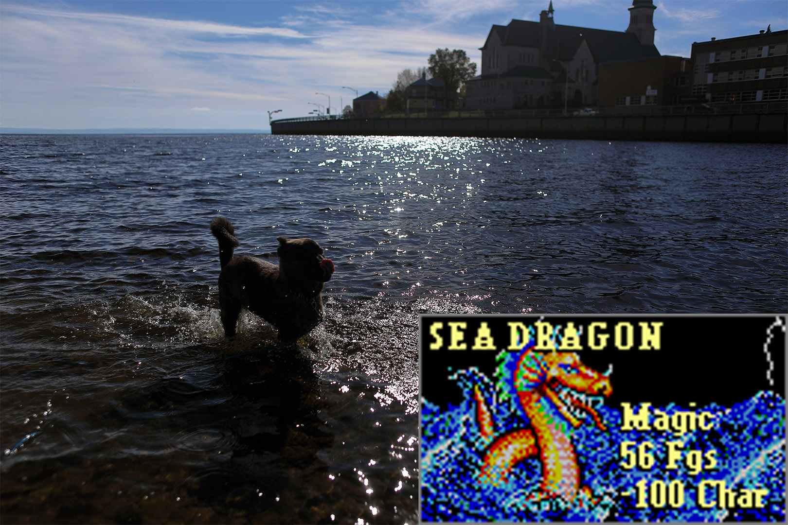 sea_dragon