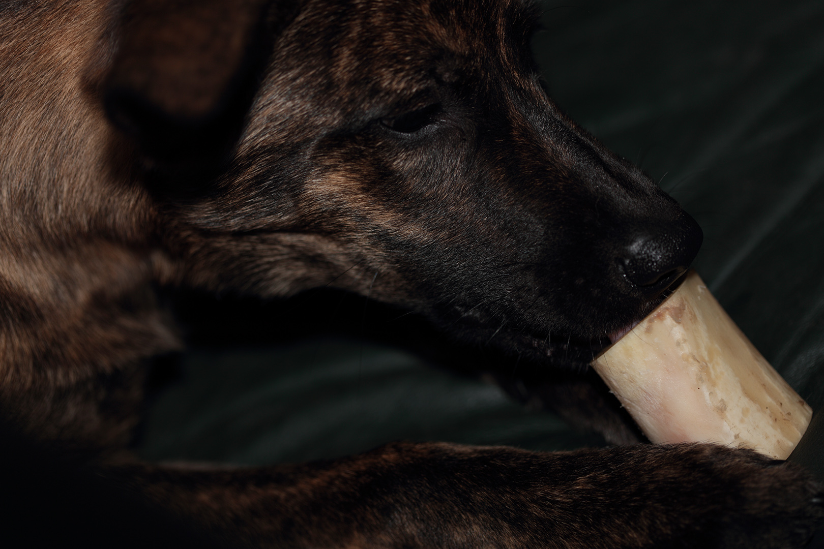 soup_beef_bone
