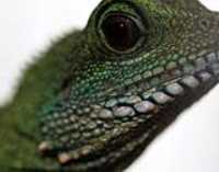 close_up_concerned
