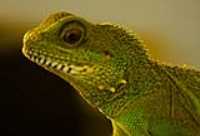 close_up_crete