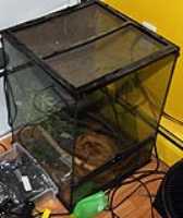 dirty_cage