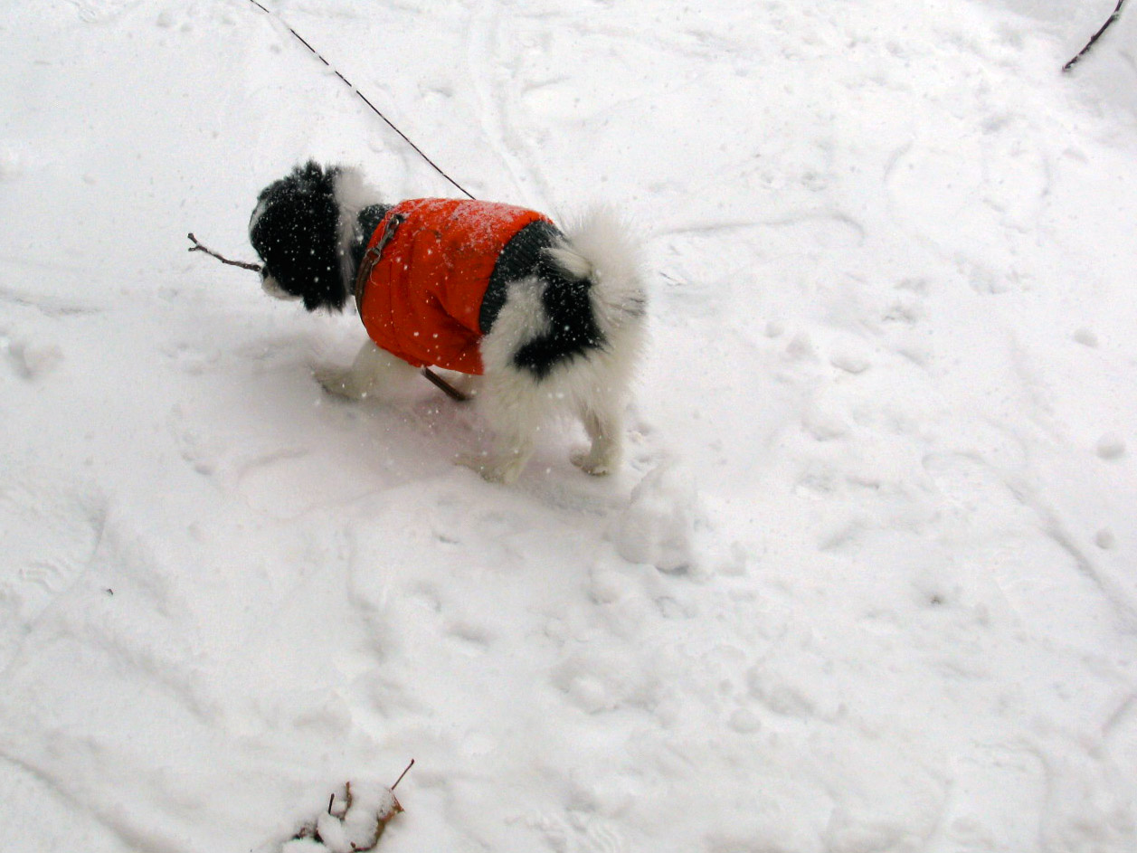 Misso_Neige_2