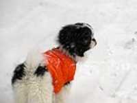 Misso_Neige_1