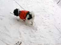 Misso_Neige_2