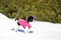 misso_portrait_neige