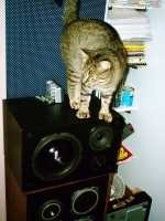tartine_speaker