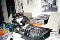 mixing_kitty