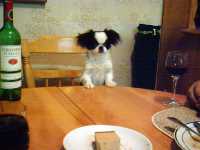 soya_table_2