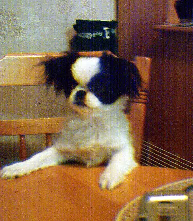 soya_table