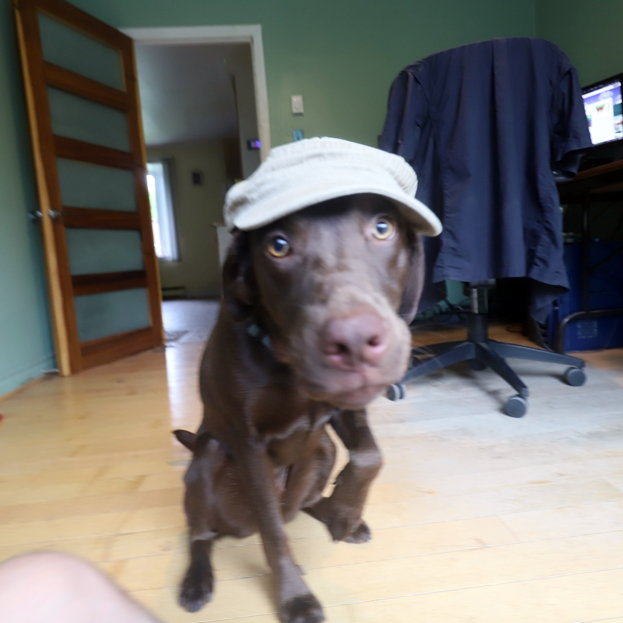 Close-Up_With_a_Wide-Angle_Lens_Wearing_Hats