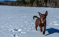 taiga_lake_snow_3