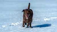 taiga_lake_snow_5