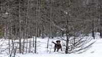 taiga_neige_lac_3