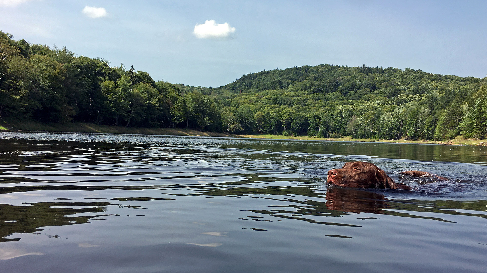 daiga_swim_dam_lake_waterlevel