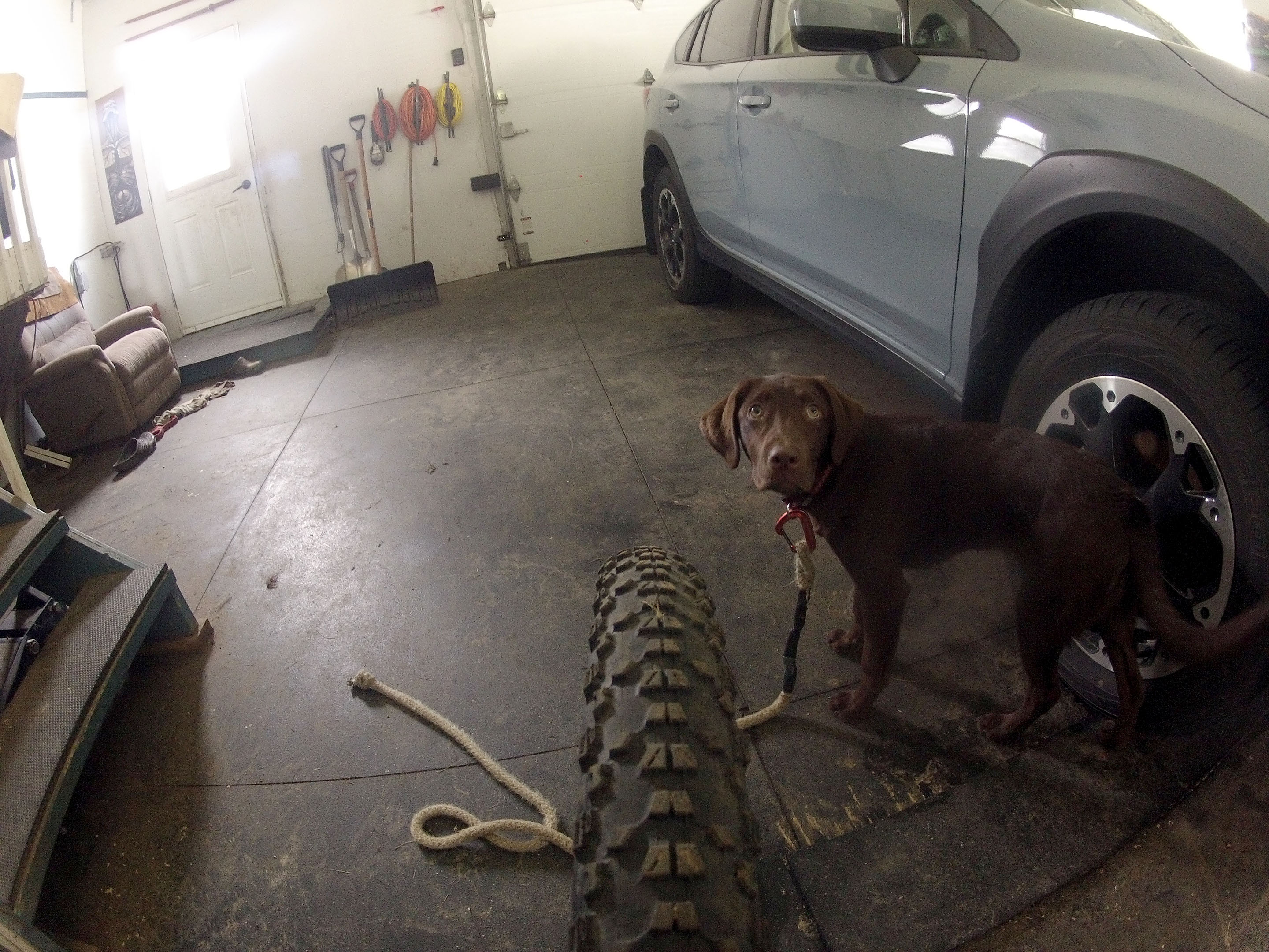gopro_taiga_test_garage