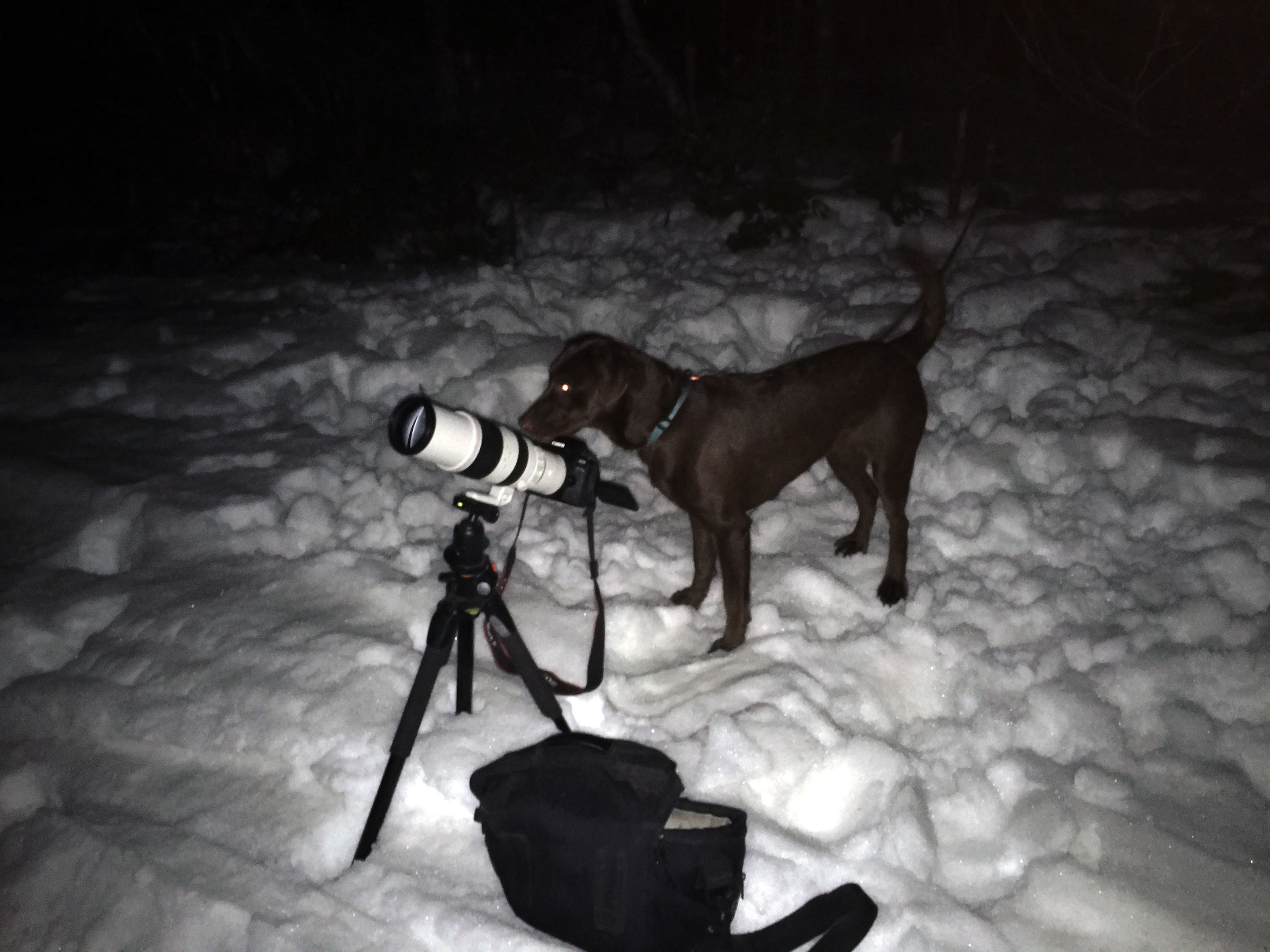 moon_night_taiga_800mm_lens_snow
