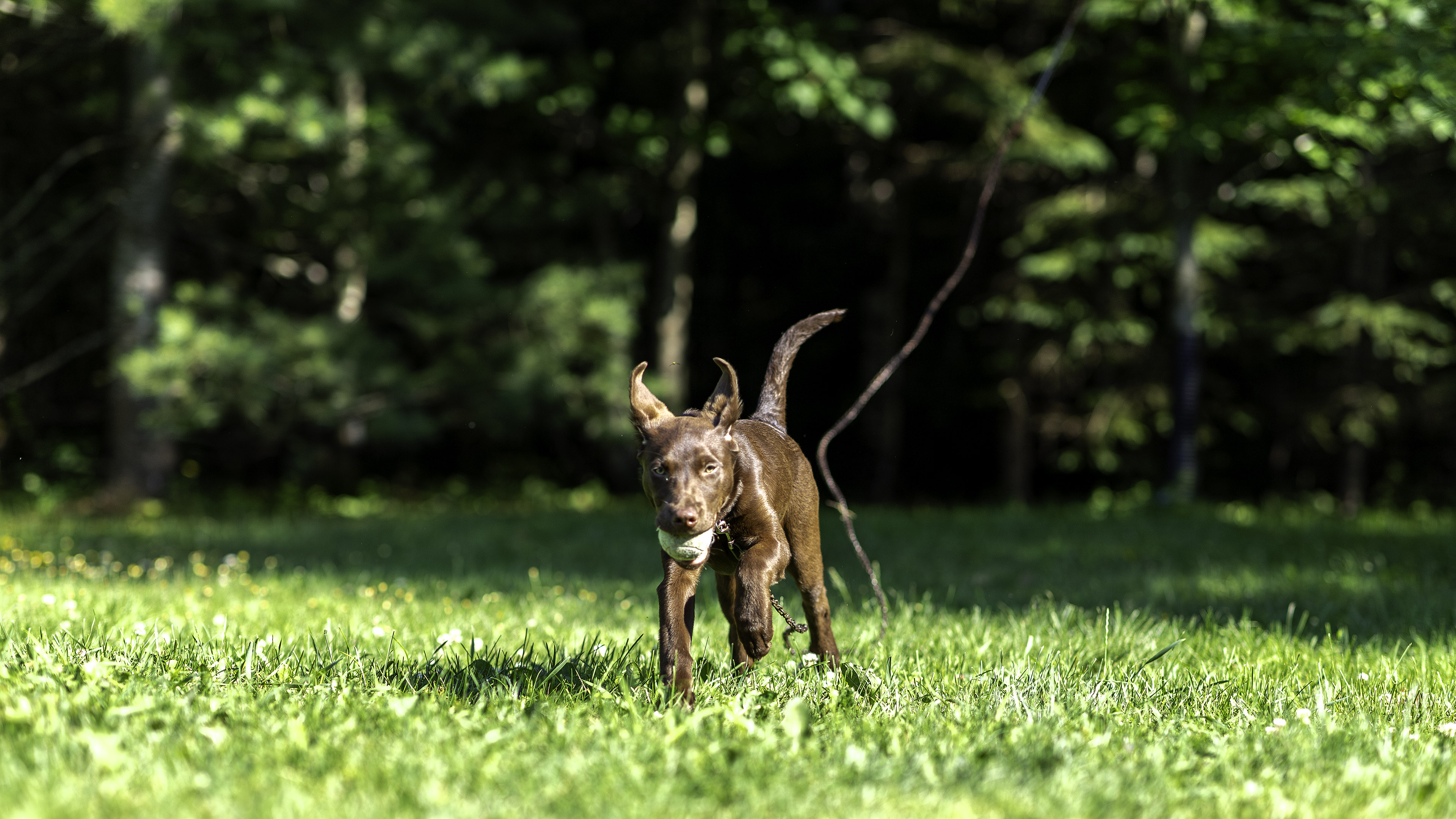taiga_cours_balle_bebe_4