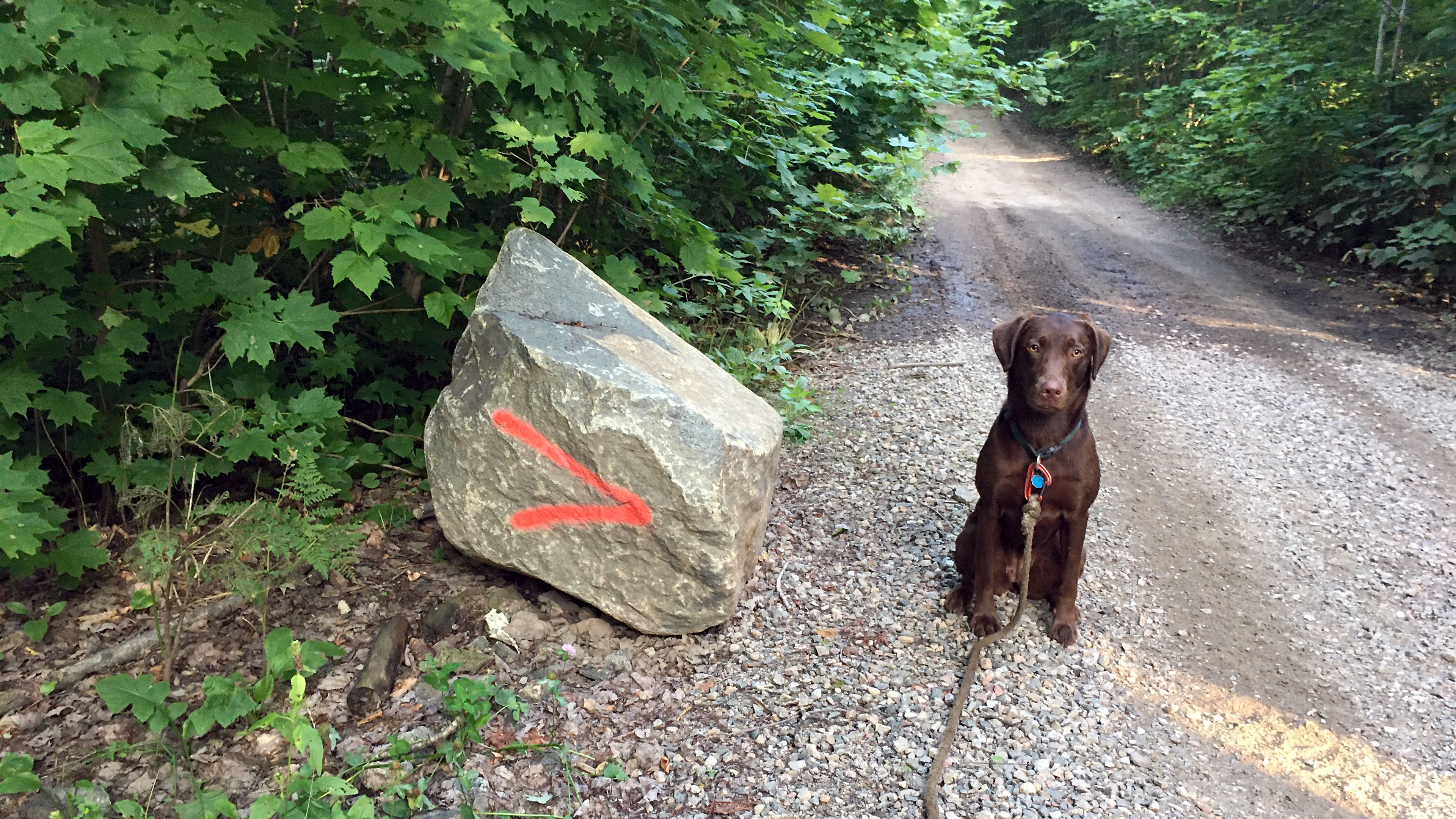 taiga_dune_granite