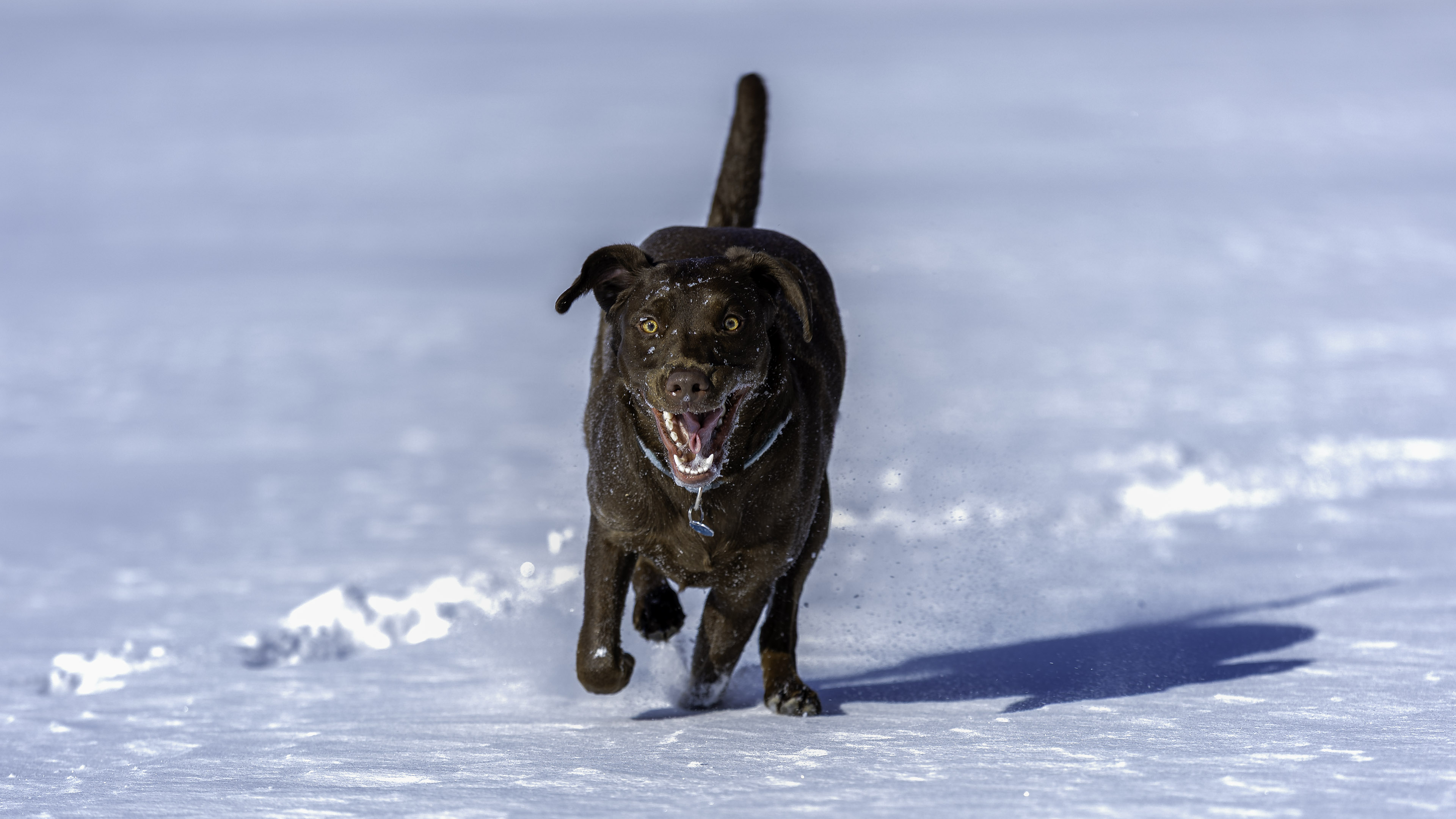 taiga_lake_snow_5
