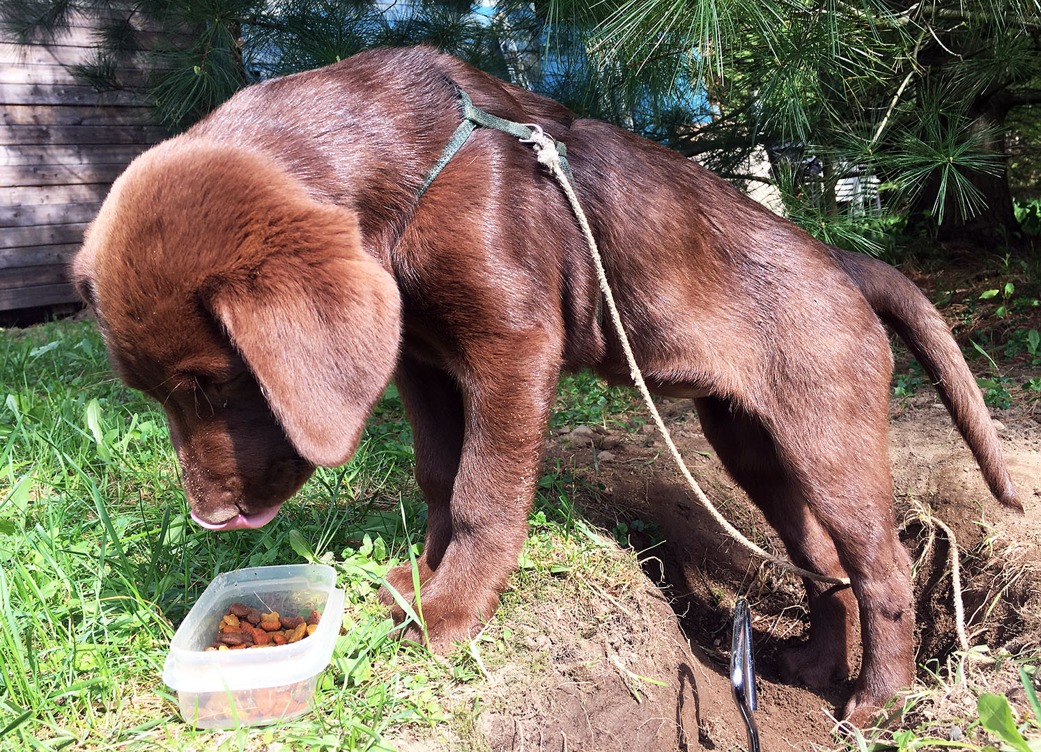 taiga_picnic_hole
