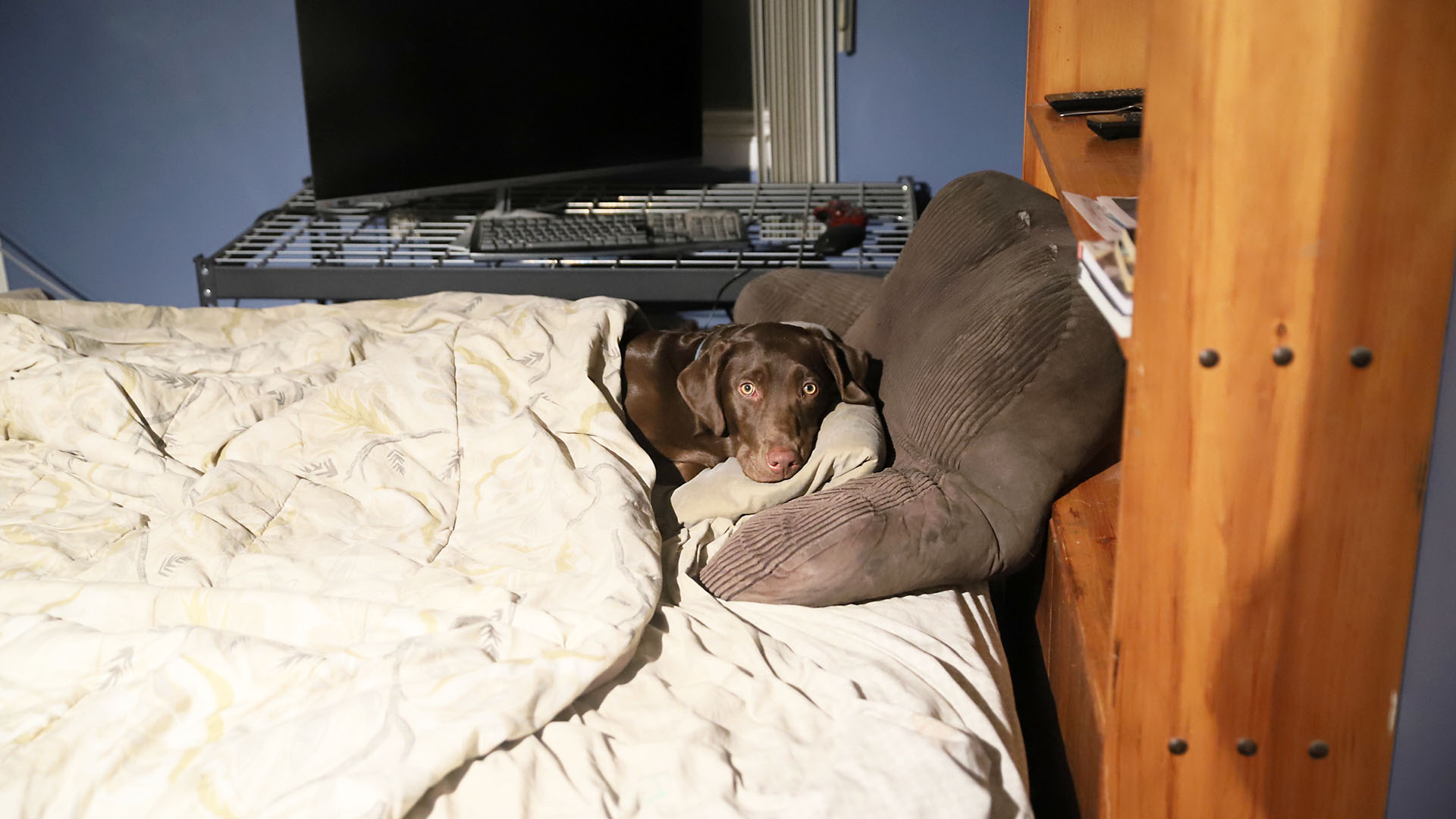 taiga_slep_bed