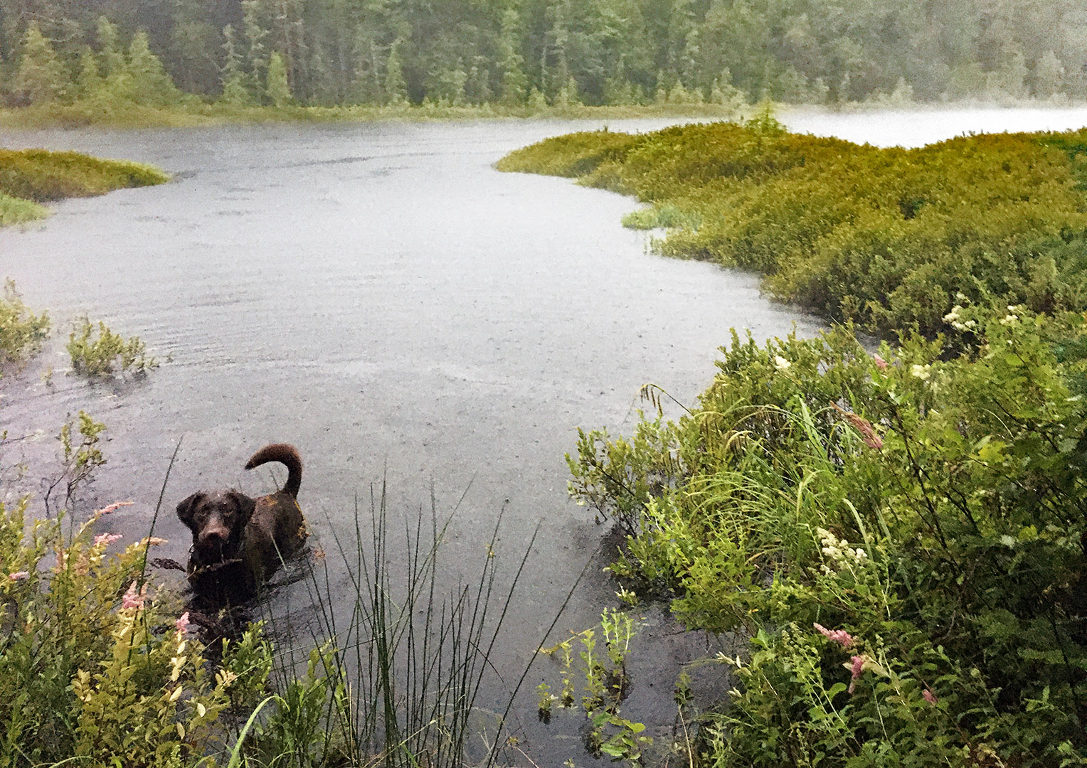 thunderstorm_lake_taiga