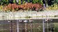 canard_etan_ext