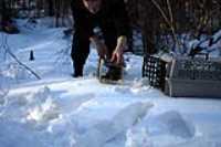 squirrel_04