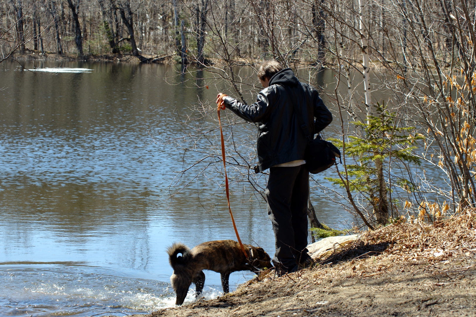 2016_04_30_etang_Bellevue_elz_Beryl_apres_le_bain