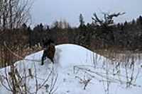Beryl_butte_arbre_casser_pancake