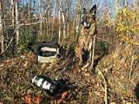 beryl_dog_canon_camera_autumn_foliage_photo_spot
