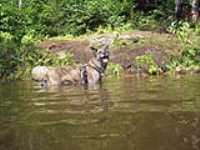 beryl_lac_epaule_baignade