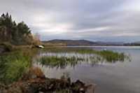 boat_lac_swamp