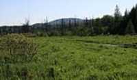champ_hydro_paysage