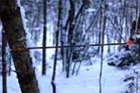 fleche_foret_neige_sentier