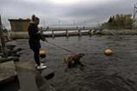 golder_retriever_bathing_women_lac_st-charles