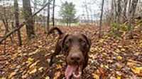 gps_spot-3