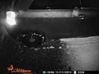 hunt_camera_7