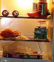 in_my_frigo