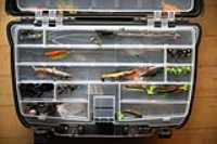 lost_fish_kit_4