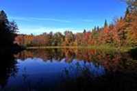 marecage_lac_fripon_automne