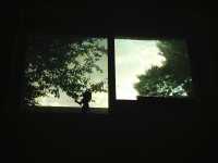 morning_grow