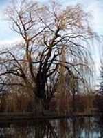 park_maisonneuve