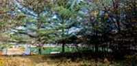 park_terrain_arriere