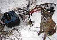 rf24ghz_remote_shutter_bike_dog_snow_canon
